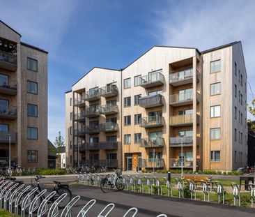 Lupingatan, Höganäs - Photo 6