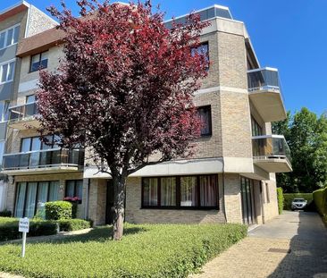 Gelijkvloers appartement met ruim terras in een klein gebouw - Foto 1