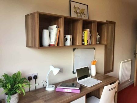 Classic En-Suite Lower Ground Floor, Behn Hall - Photo 5