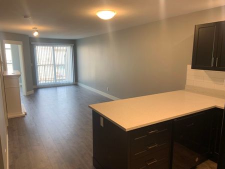 Top Floor At Tamarind - Photo 4