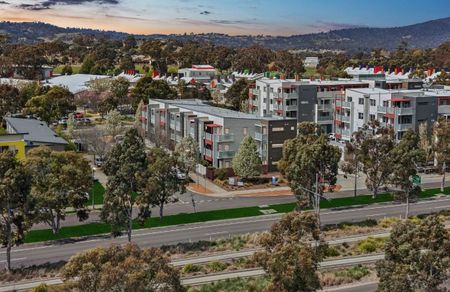 Light-Filled Apartment in a Convenient Harrison Location - Photo 4