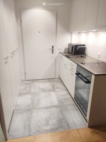 Modernes und sehr helles Studio im Zentrum von Wettingen - Photo 3