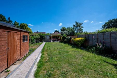 3 bedroom semi-detached house to rent - Photo 3