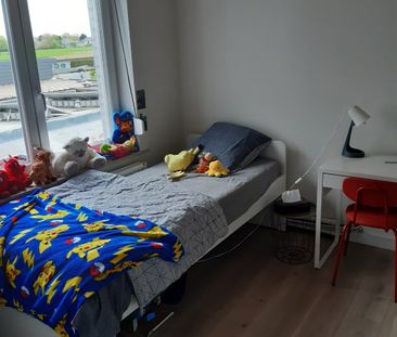Huis te huur in Zottegem - Photo 6