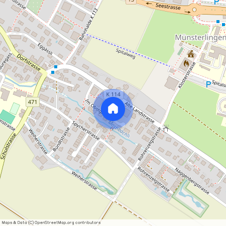 Im Obstgarten 7 8596 Scherzingen