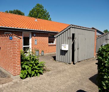 Fyrreparken - Photo 2