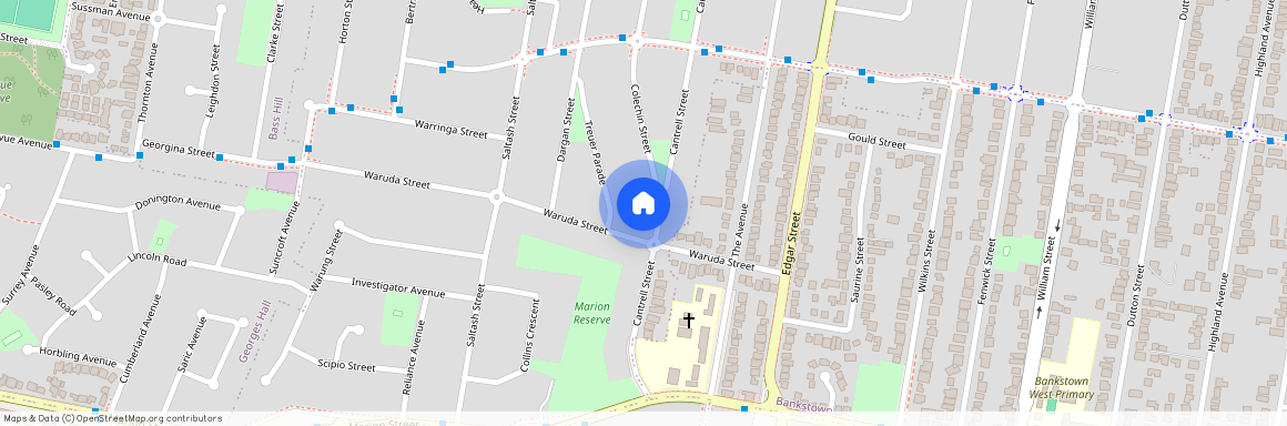 74A Colechin Street, NSW 2199, Yagoona