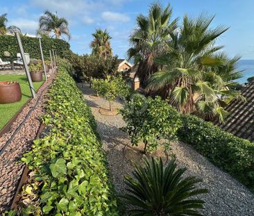 Calle Sa guardia 15, Barcelona, Catalonia 08350 - Photo 2