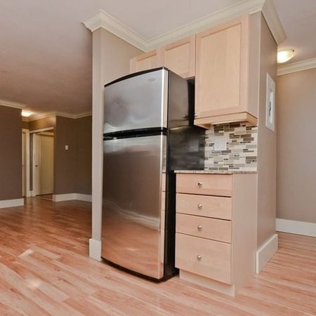 Edmonton Unfurnished Condo Rental in Oliver - Stylish Oliver Condo Steps From Cafés, Groceries & Downtown Living - Photo 3