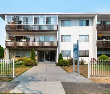 Pet-Friendly Building/ One-Bedroom in James Bay - Photo 1