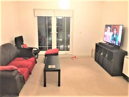 1 bedroom flat to rent - Photo 2