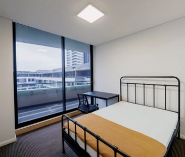 2 bed 2 bath-605 - Photo 5