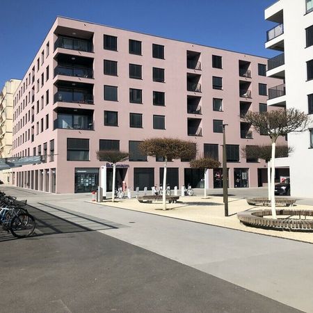 HALDIMAND 55, 1.5-room furnished studio in the city center - N320 - Foto 3