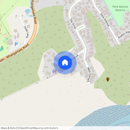 115 Pacific View Drive, Whangamata, Thames-Coromandel