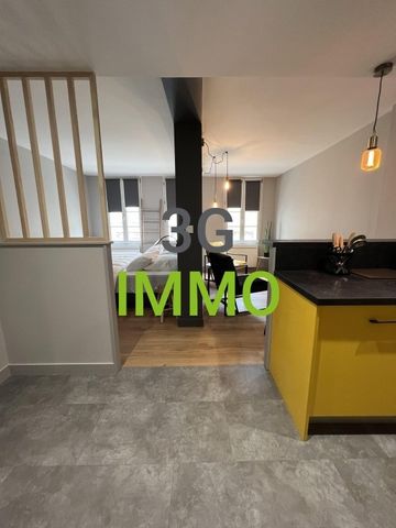 Location / Studio meublé - Photo 3