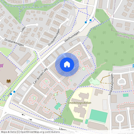 Carl Bondes väg 60, Villastaden