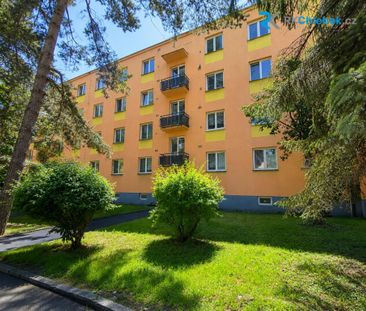 Pronájem bytu 3+1 72 m2 - Fotografie 4