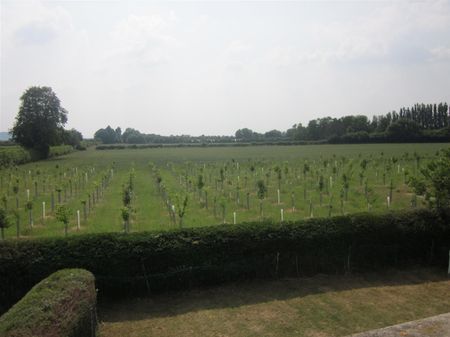 Lower Icknield Way, Great Kimble - Photo 4