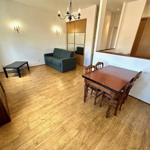 Location Appartement 1 pièce Meublé 31m² VILLEURBANNE 69100 - Photo 1