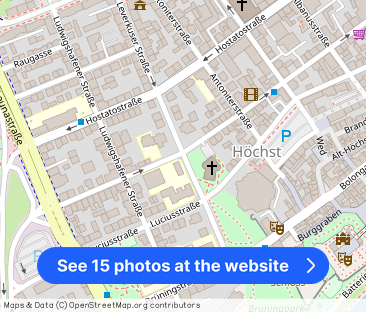 3-Zimmer-Erdgeschosswohnung in Frankfurt-Höchst: Stilvolles Ambient... - Photo 1