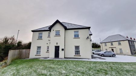 97 Cambric Court, Dromore, BT25 1TH - Photo 4