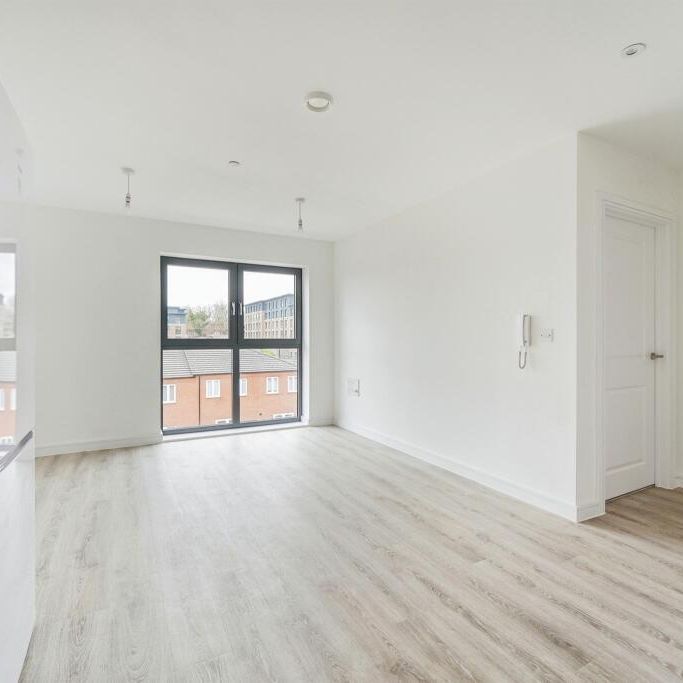 Erasmus Drive - Photo 1