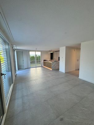 Ihr neues Zuhause im Leuenfeld Oensingen - 5-Zimmer Doppeleinfamilienhaus ab sofort verfügbar - Photo 1