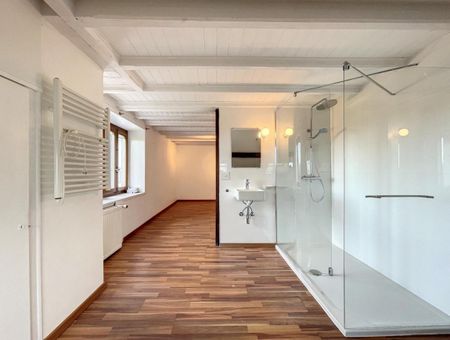 Maison de 7.5 pièces avec jardin et étang à Mex - Foto 3