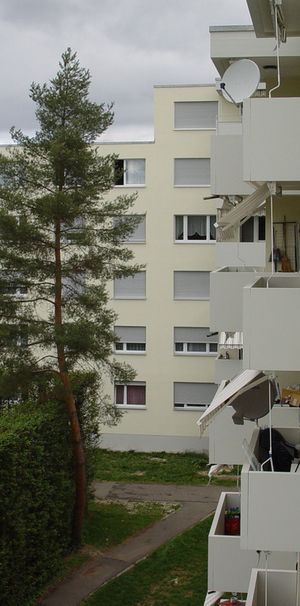 Ideale Familienwohnung in Pratteln - Photo 1