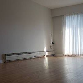 Renovated, Large 1Br Unit - Photo 3