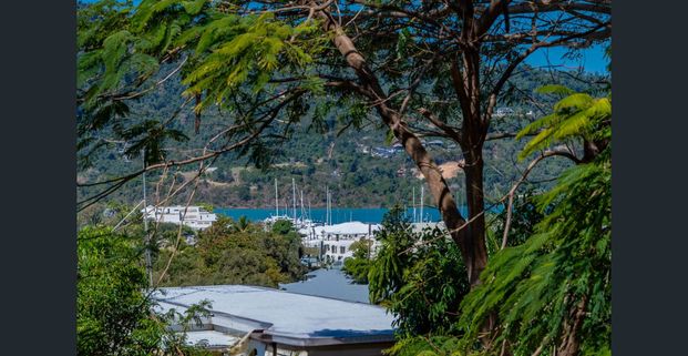 UP & COMING - Stunning Fully Renovated 1-Bedroom Unit in Airlie Beach - Photo 1