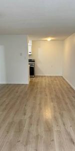 Large 1 bedroom, 1 bath apartment - Photo 4