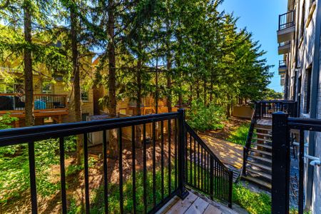 For Lease - 21 Armillo Place, Markham, Ontario - Photo 5