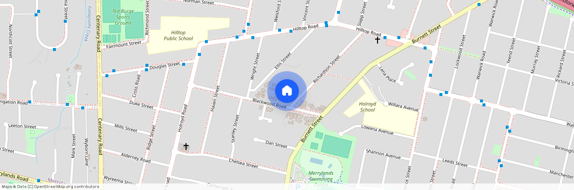 1/4 RICHARDSON STREET, NSW 2160, Merrylands