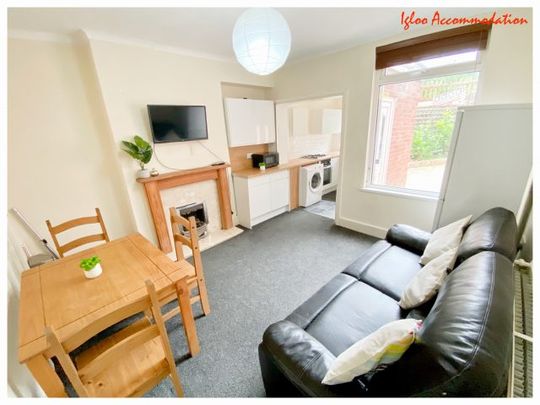 11 Fentonville Street, Sharrow - Photo 1