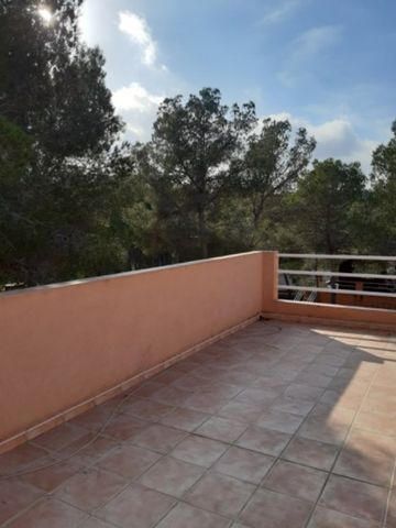 Nice Apartment For Long Term Rental In Alfaz del Pi - Photo 4