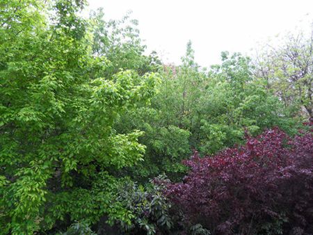 Location appartement 1 pièce, 25.31m², Paris 12 - Photo 4