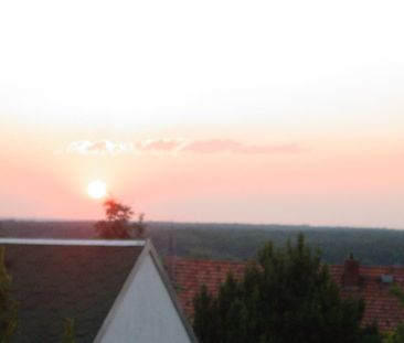 Dresden Bühlau, Apartment mit Blick über die Bäume - Photo 4