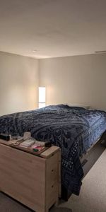 Annex Bachelor/all inclusive on Bedford Rd - Lower level Mar 1st - Photo 4