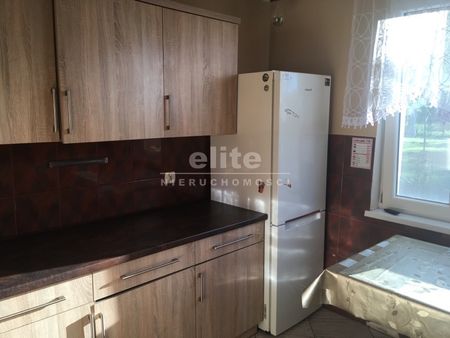 Żółwia Błoć - Photo 5