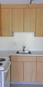 Newly Renovated 1 Bedroom at Pineview Place - Photo 3