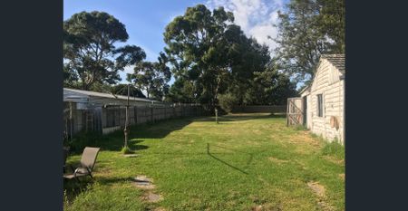 Original weatherboard home with polished wood floors and a massive back yard!! - Photo 2