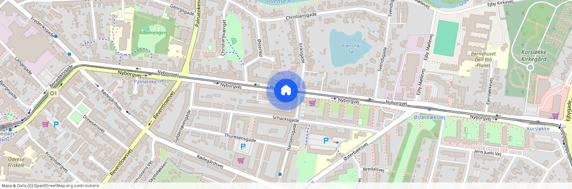 Nyborgvej 81, st. lejl. 2 5000 Odense C