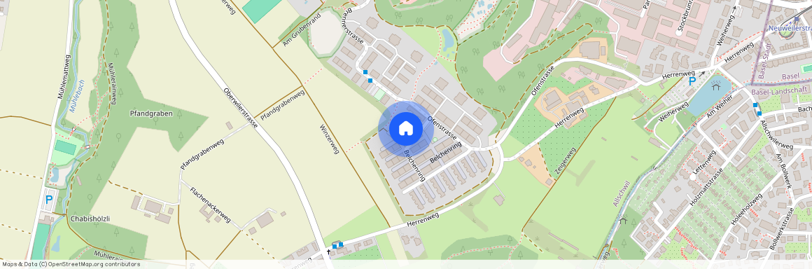 4123, Allschwil, Belchenring, 59