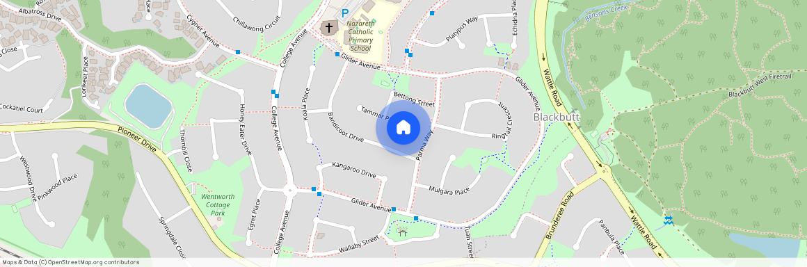 6 Tammar Place, NSW 2529, Blackbutt