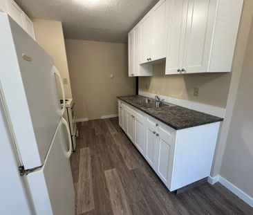 SPACIOUS 2 Bedroom APARTMENT!! GREAT LOCATION Downtown!!! - Photo 4