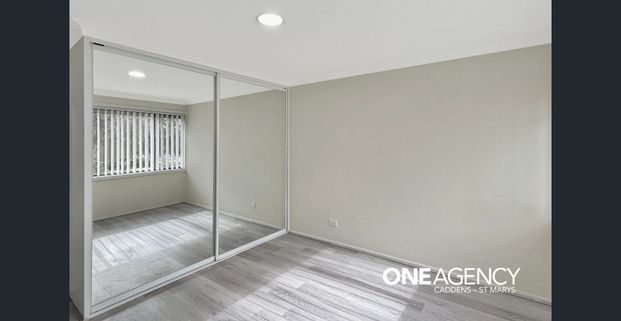 FRESHLY UPDATED 3-BED HOME WITH OUTDOOR DECK!!! - Photo 1