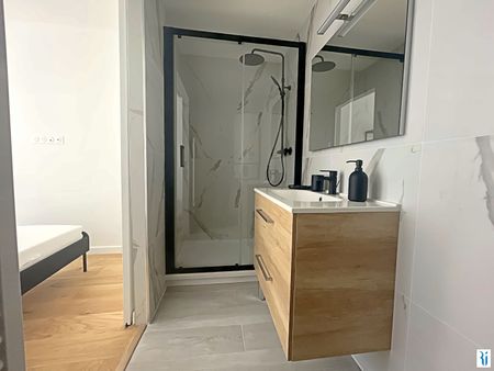 ROUEN - Appartement 2 pièces - Photo 5