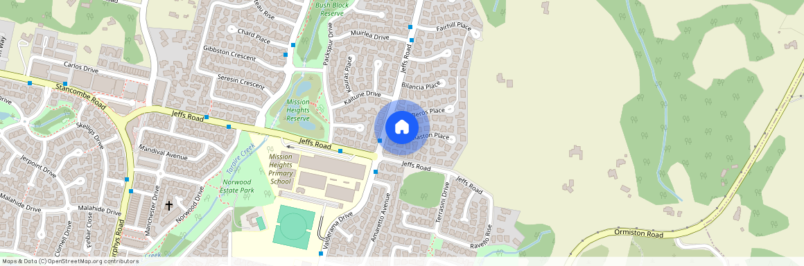 4 Woolaston Place, Flat Bush, Manukau City