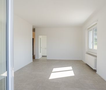 MENDRISIO – LUMINOSO APPARTAMENTO - Foto 1